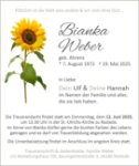 eine Anzeige